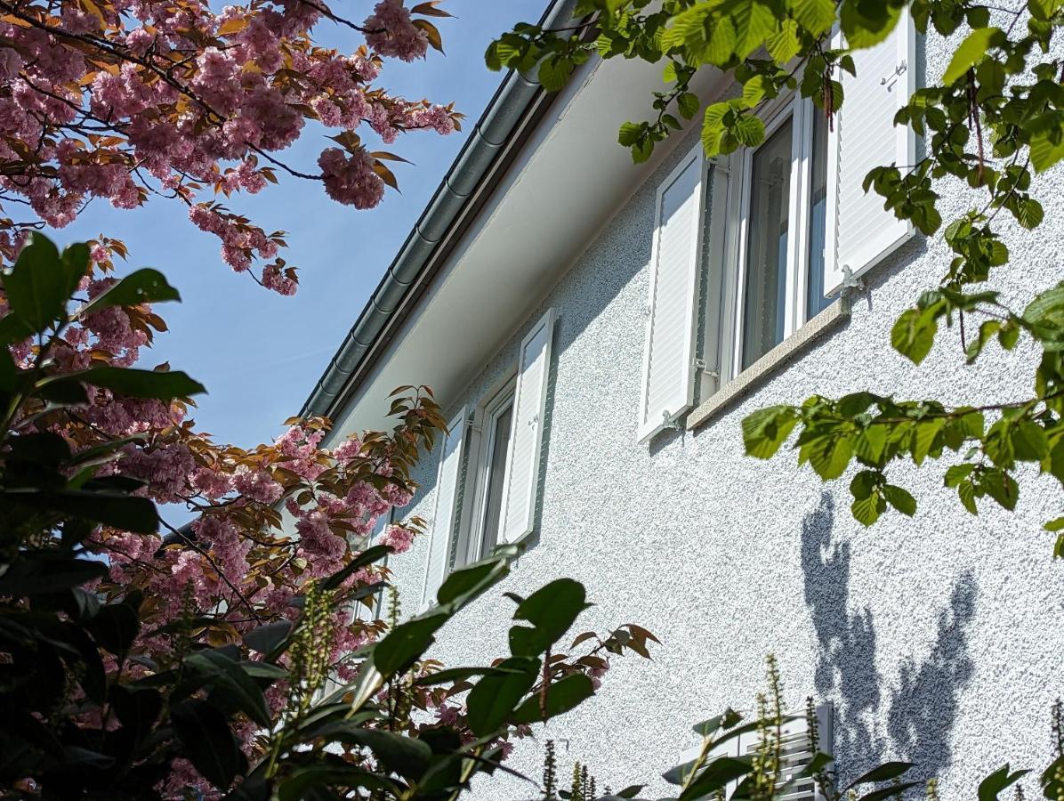 Lago Ferienwohnungen - Gruen Lindau  Exterior foto